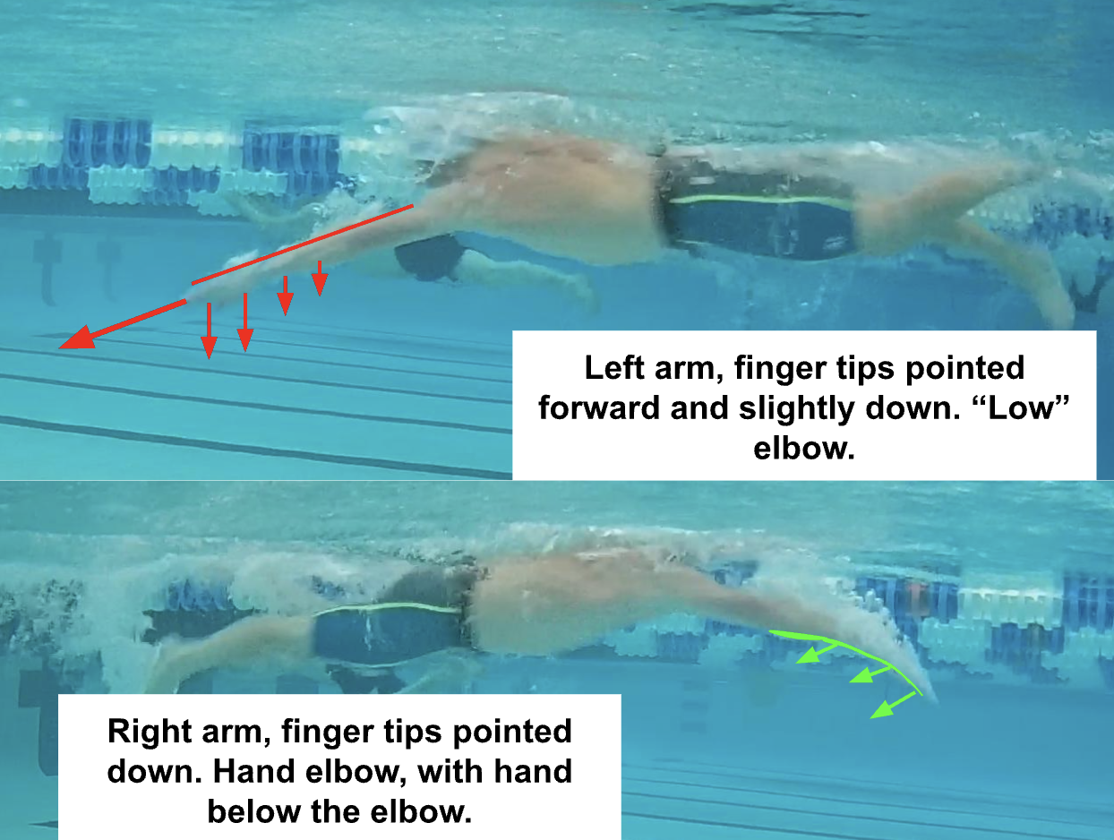 Asymmetrical freestyle pull showing different arm positions